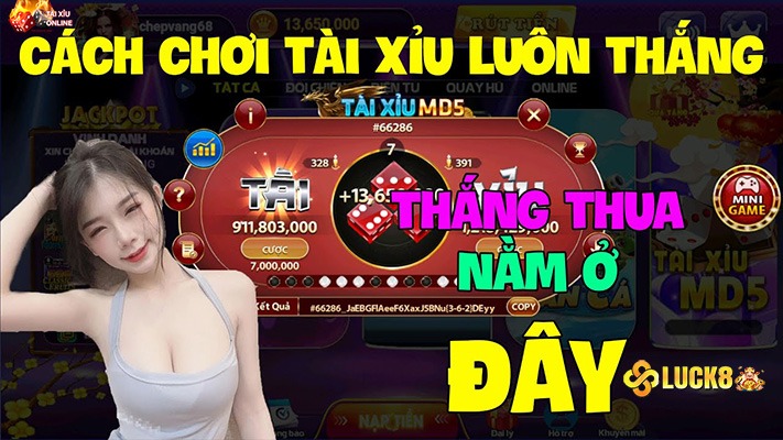 Chơi Tài Xỉu Luôn Thắng